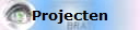 Projecten